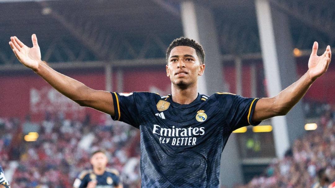 向的关键 向的关键