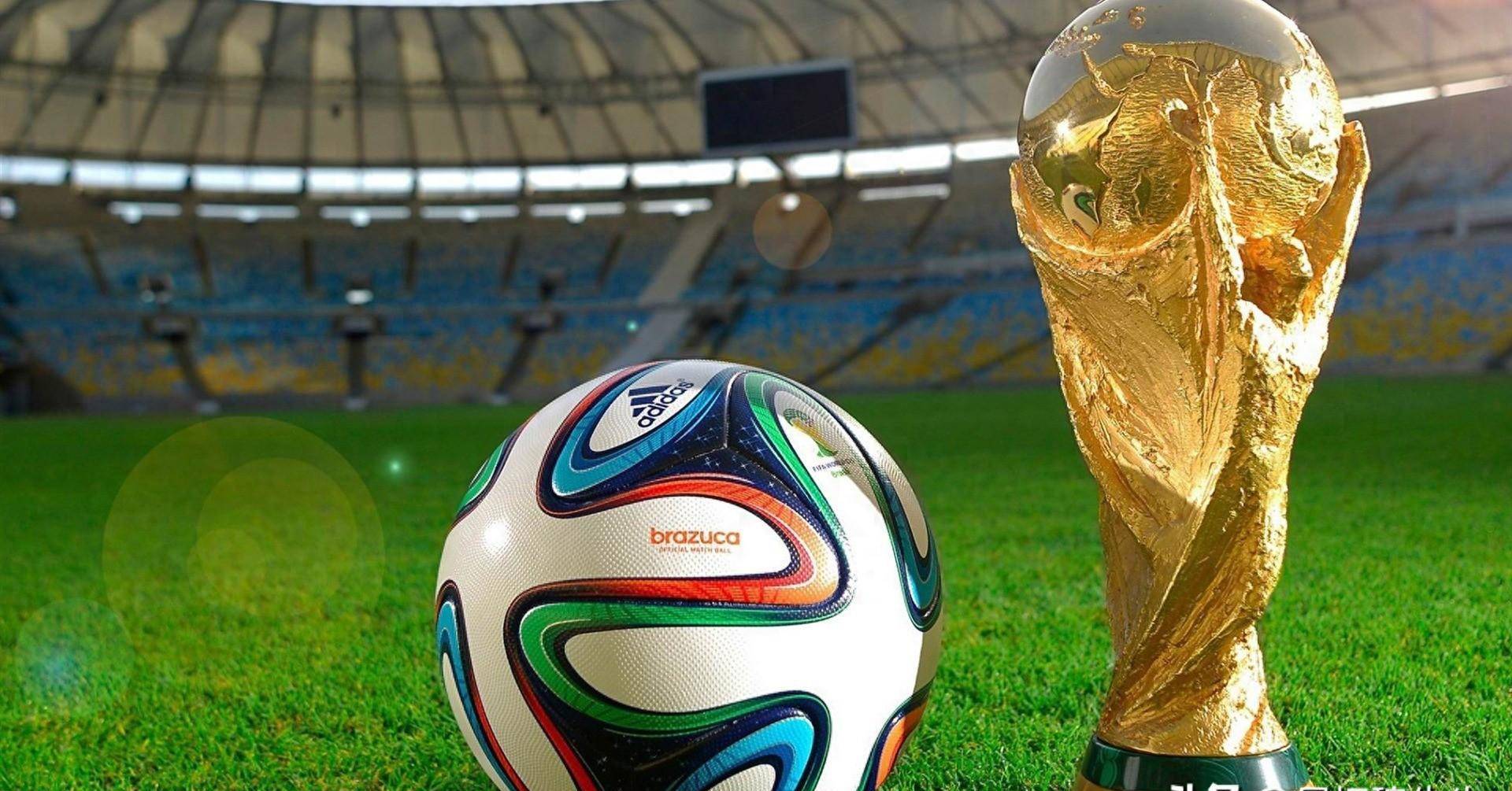 应的重要样 应的重要样